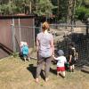 Tierpark4